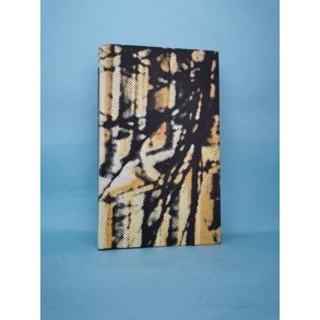 Den gode terrorist, Doris Lessing