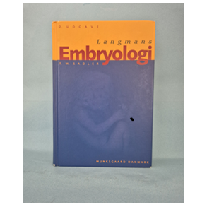 Embryologi, Langmans og T.W.Sadler