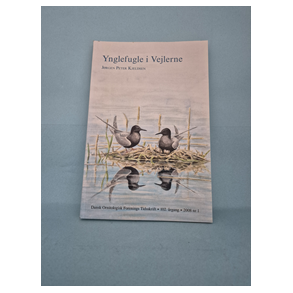 Ynglefugle i Vejlerne, Jrgen Peter Kjeldsen