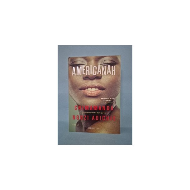 Americanah, Chimamanda Ngozi Adichie