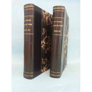 Krig og Fred 1.delog 2. del; Leo Tolstoy