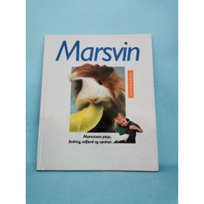 Marsvin , Katrin Behrend