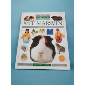 Mit marsvin, Mark Evans