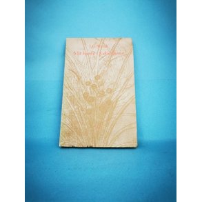 Mit hjerte i Kbenhavn, Jrgen Gustava Brandt