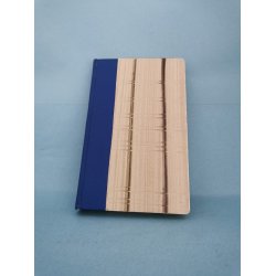 Til selvprvelse, samtiden anbefalet og dmmer selv, Sren Kierkegaard