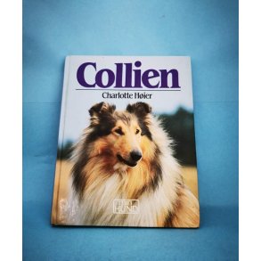 Collien, Charlotte Hier