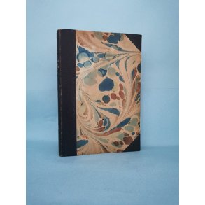 Fugle omkring fyret, Jacob Paludan