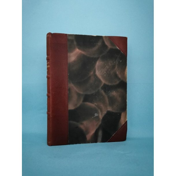 John Galsworthy: Blomstrende vildnis