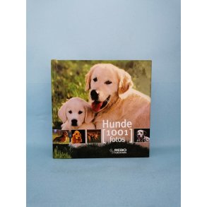 Hunde [2001 fotos]