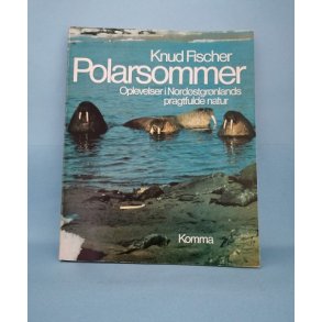 Knud Fischer: Polarsommer