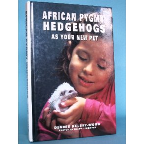 African Pygmy Hedgehogs as your new Pet