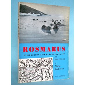 Alwin Pedersen: Rosmarus - en beretning om