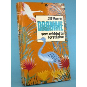Drømme som middel til forståelse, Jill Morris