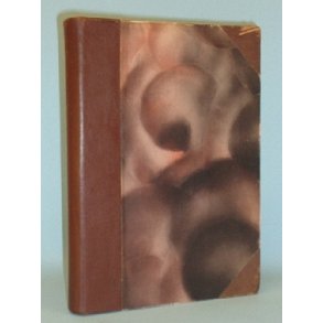 Med hundeslde gennem Kamtchatka, Sten Bergman