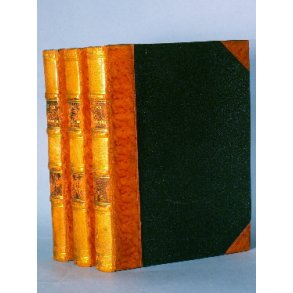 The War Correspondence of the ''Daily News'',