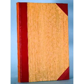 Ernest Hemingway: At have og ikke have