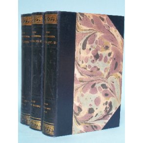 Agnes v. Krusentjerna: Fattigadel (3 bd.)