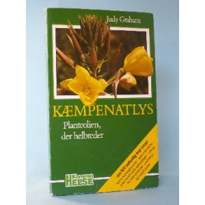 Kæmpenatlys, Judy Graham