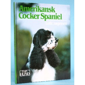 Amerikansk Cocker Spaniel, Lotte Jørgensen