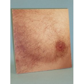 Baghuset - udg. i forbindelse med udstillingen, red. Anders Kold