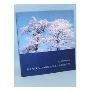 B.J. Rambøll: En nat sprang alle træer ud