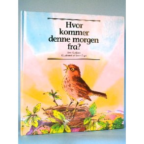 Hvor kommer denne morgen fra? Jan Godfrey