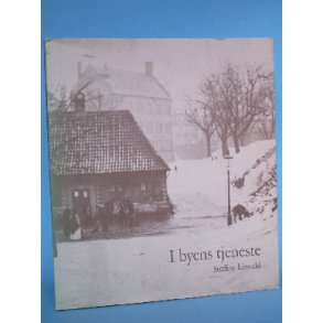 I byens tjeneste, Steffen Linvald