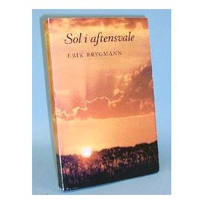 Erik Brygmann: Sol i aftensvale