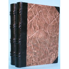 Danmarks Folkestyre (2 bd.), skrevet af