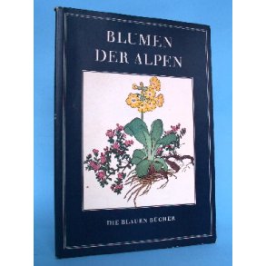 Blumen der Alpen -kolorierte Holzschnitte und Text