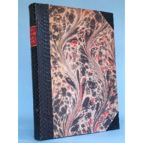 Vincent van Gogh, av Carl Nordenfalk