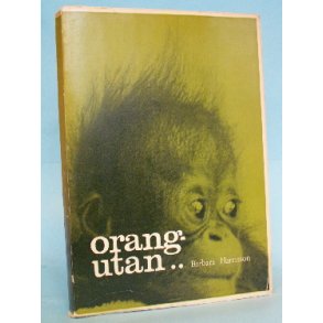 Orang-Utan, Barbara Harrison