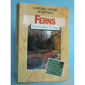 Ferns. Their Habitats in the English and Irish