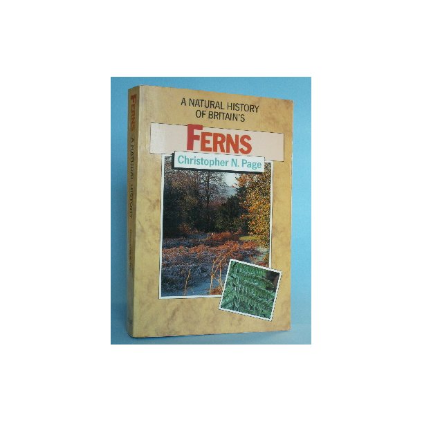 Ferns. Their Habitats in the English and Irish